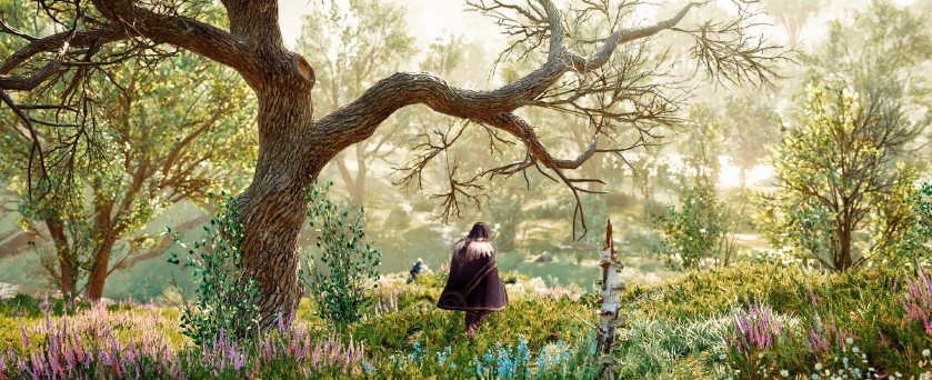 A sun-dappled forest path, rendered with the warmth that defines Ultra Violetra's landscape work.