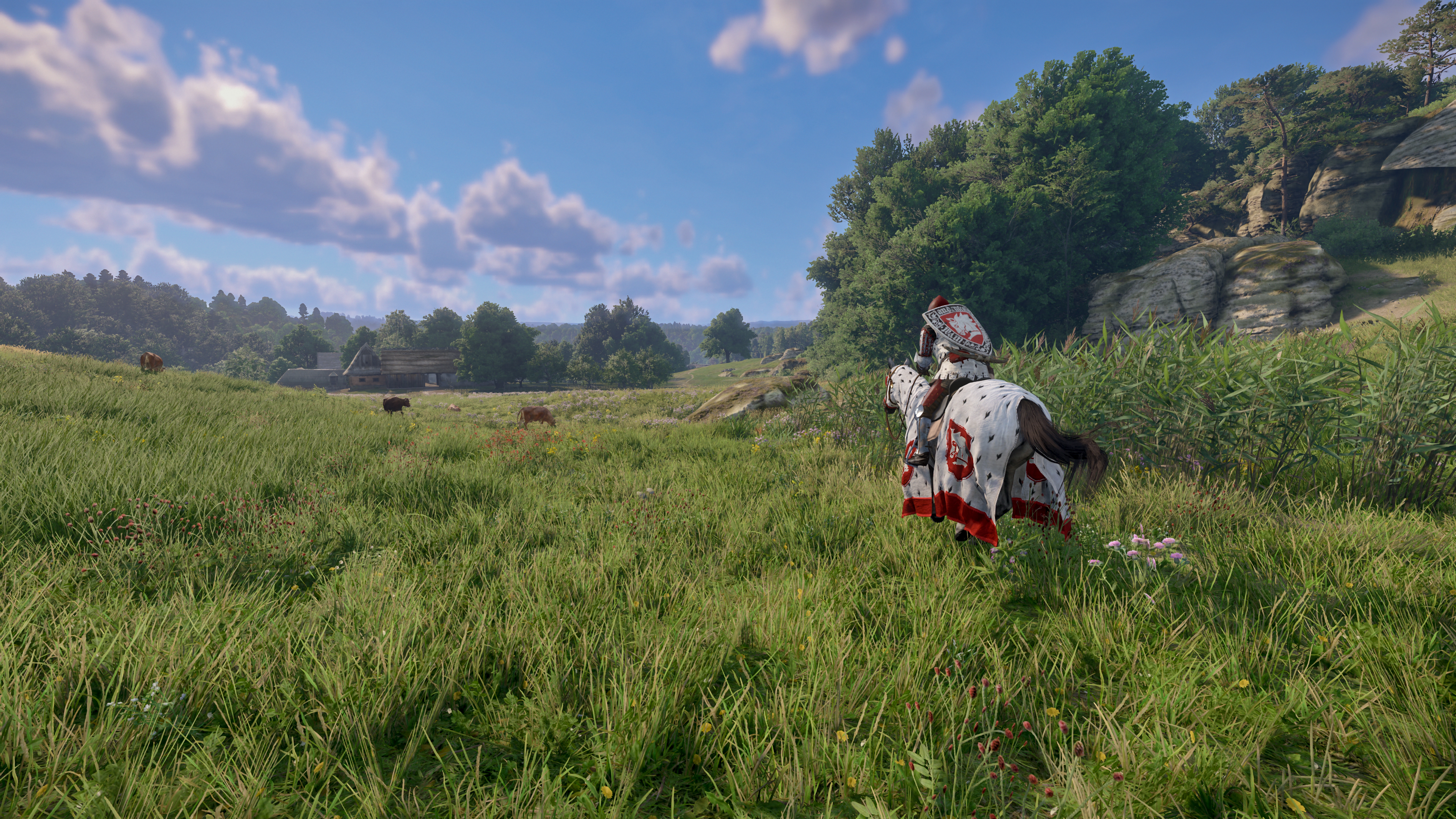 Riding out through the meadows.