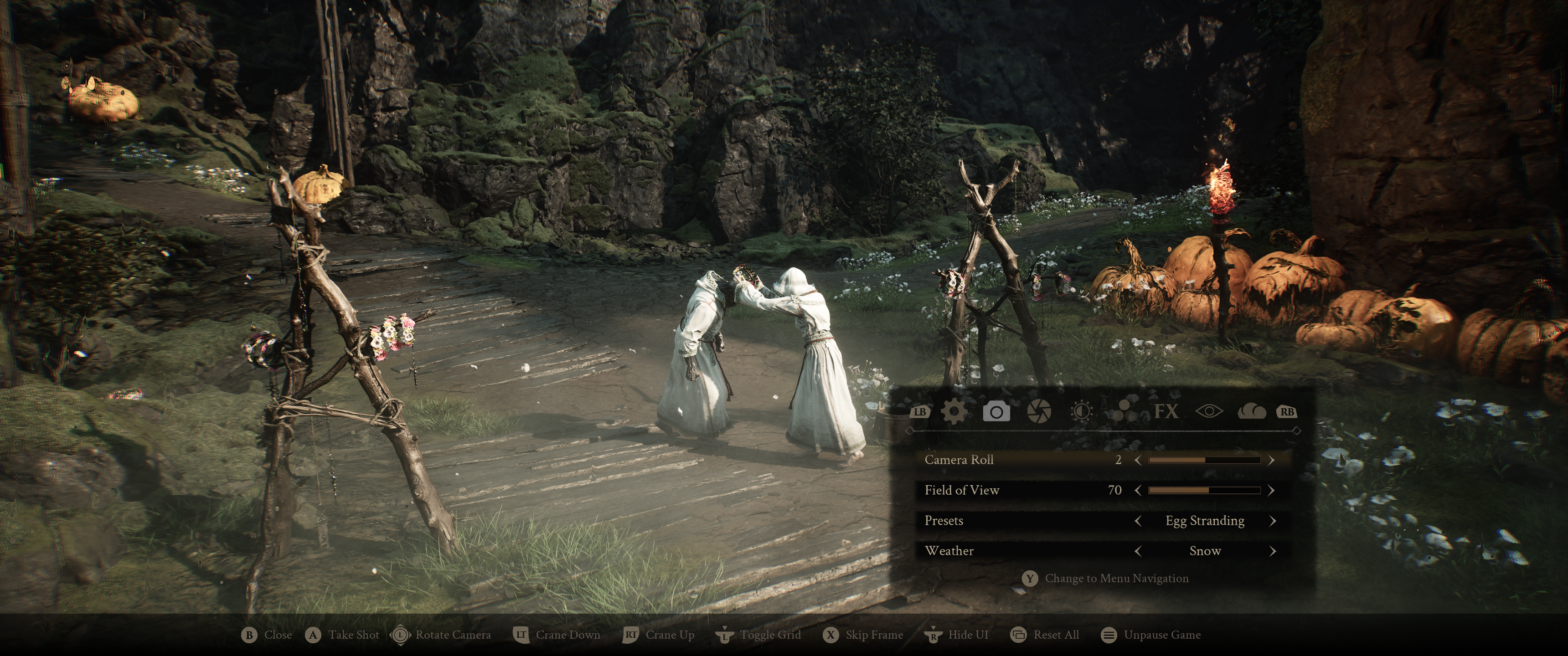 The Camera tab. Camera Roll, Field of View, Presets and Weather, with the Egg Stranding preset applied.
